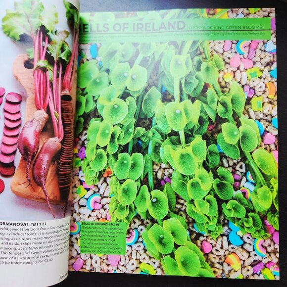 The Whole Seed Catalog 2024 Book Magazine Coffee Table Decor Baker Creek Heirloo - Picture 11 of 14